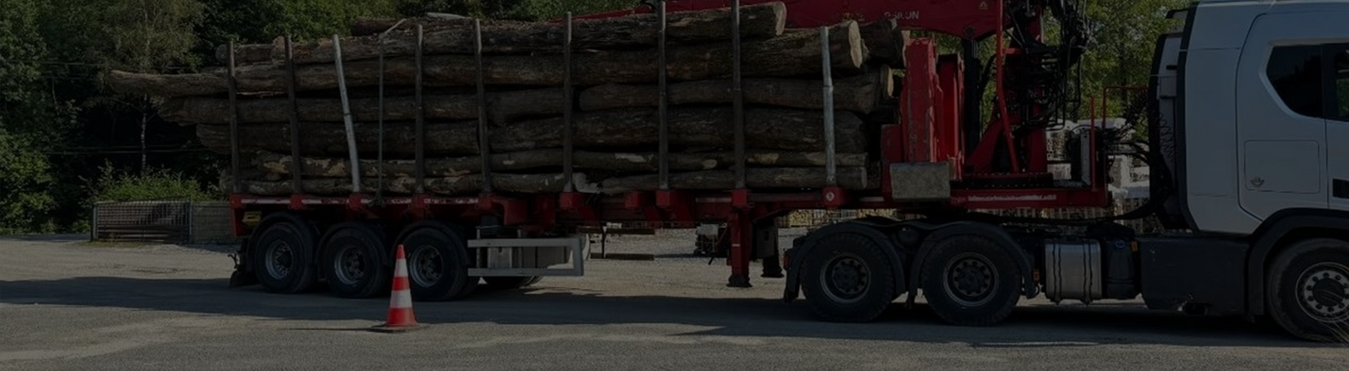 Hochwertige Rundholzstämme für Profis